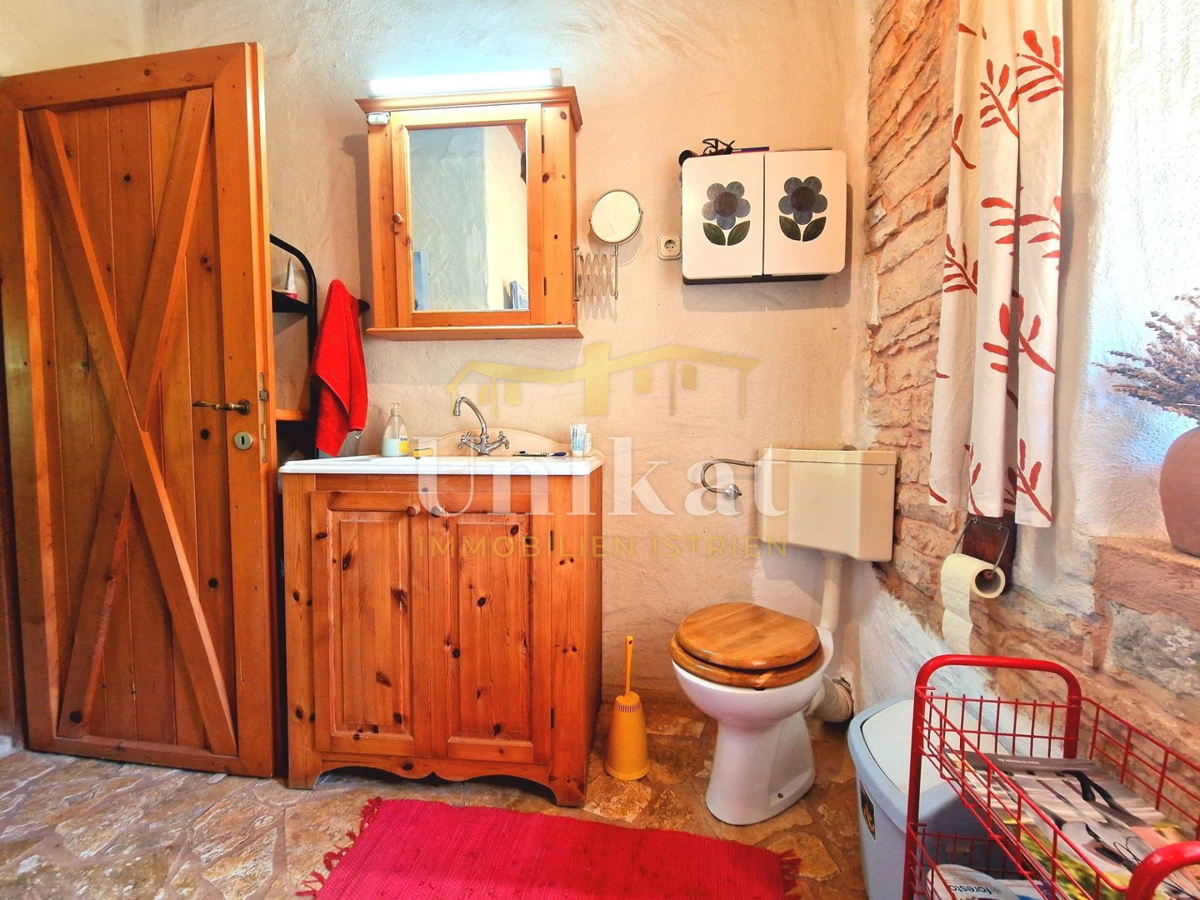 Avtentično posestvo s kamnito hišo in velikim zemljiščem